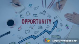 Career Opportunities after Engineering
